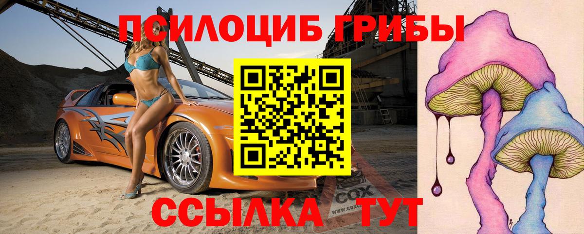 Псилоцибиновые грибы GOLDEN TEACHER  где купить наркоту  Донецк  Псилоцибиновые грибы прущие грибы  Вход с VPN 